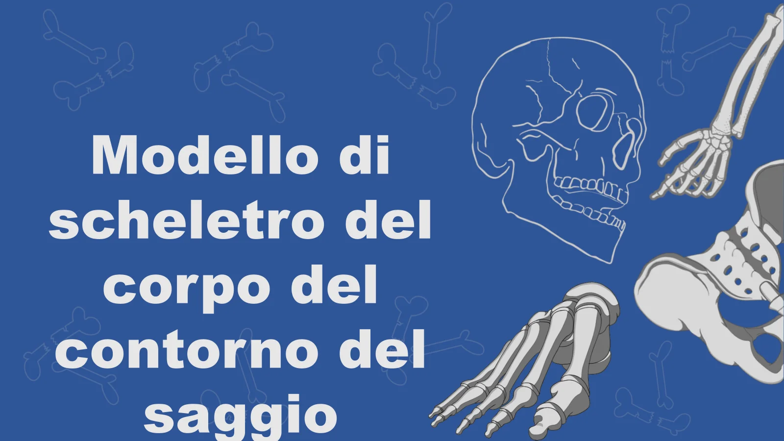 Modello di scheletro del corpo del saggio per una struttura chiara